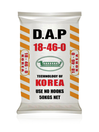 DAP Korea thumb